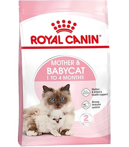 ロイヤルカナン　成長前期の子猫用　マザー&ベビーキャット　4kg×4袋 Amazon.co.jp: ロイヤルカナン マザー&ベビーキャット 4kg アイランド